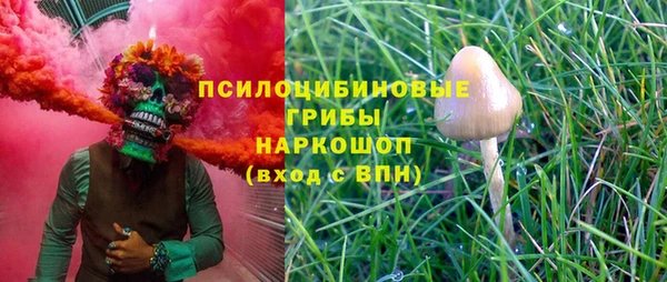 твердый Абаза