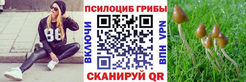 Псилоцибиновые грибы прущие грибы  Усть-Кут 